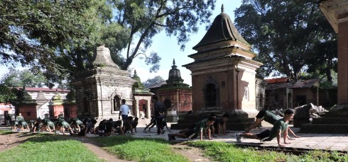 pushups, 26, 27, 28 ... and the sun is shining, the air is humid ...