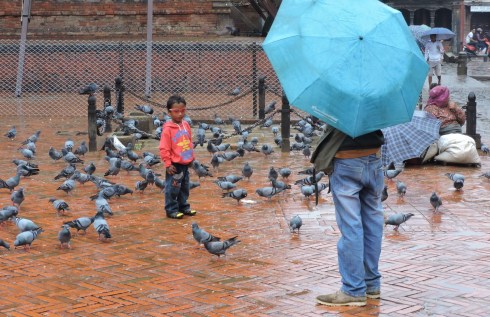 Daddy, whose soul? which pigeon? Better feed them all