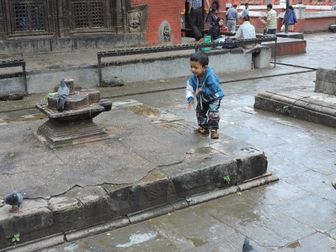 Soul or pigeon, I'm gonna get ye!