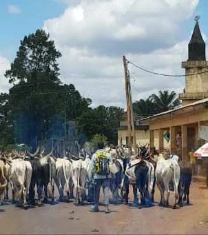 20180811_113003_Moment(2)